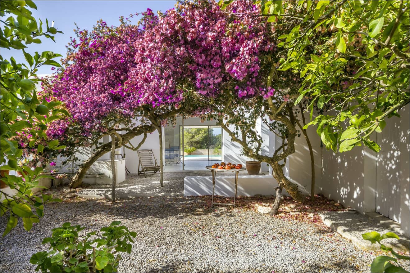 Casa Flor